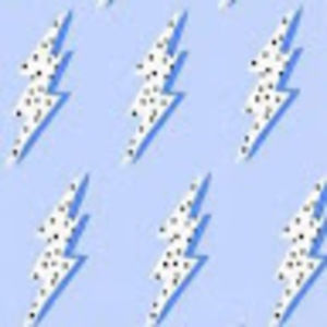 Meet your Posher, 0bviously3lie